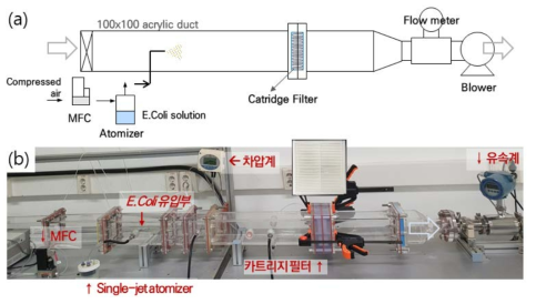 카트리지 필터 E.coli 접종원 코팅 시스템 모식도(a) 및 사진(b)
