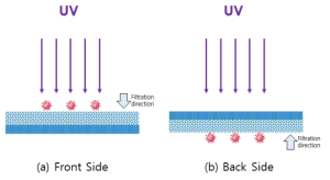 박테리아 여과방향과 UVC 조사 방향 비교, 여과방향과 자외선 조사 방향이 같은 front side(좌), 여과방향과 자외선 조사방향이 반대인 back side(우)