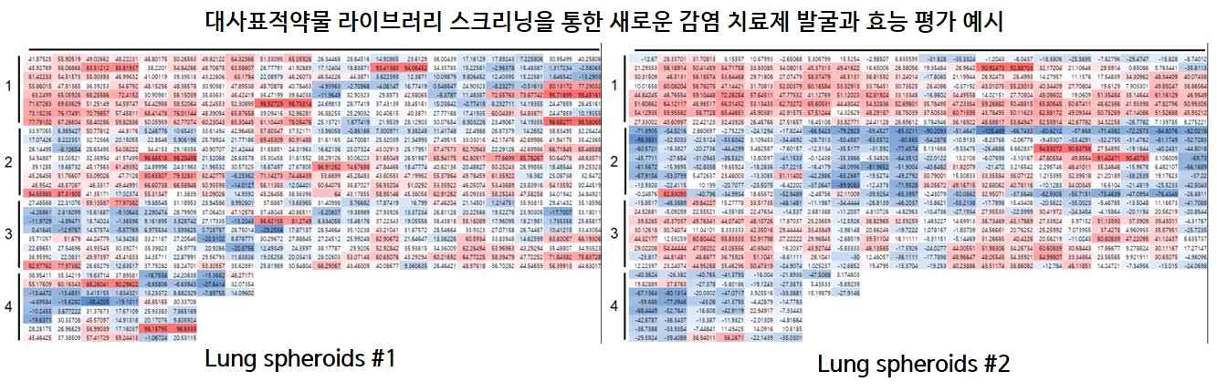 새로운 감염 치료제 발굴과 효능 평가를 위한 대사 표적 약물 라이브러리 스크리닝