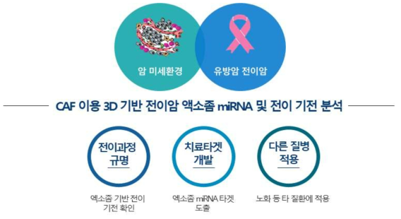 연구개발 성과의 활용방안