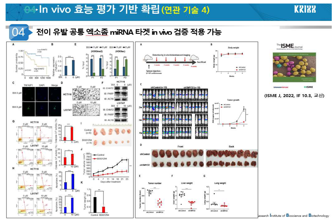 in vivo 기반 엑소좀 miRNA 검증기반 확립
